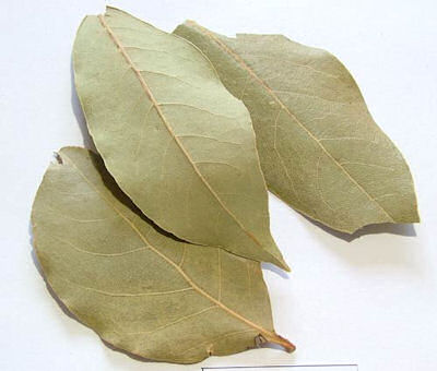 bay-leaves-dried-magical-herb-[4]-451-p
